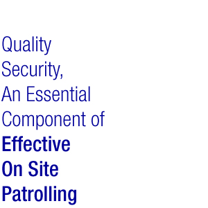 Quality Patrolling for Security